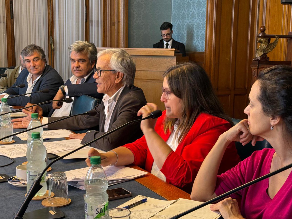 Carlos Daniel Camy tweet media