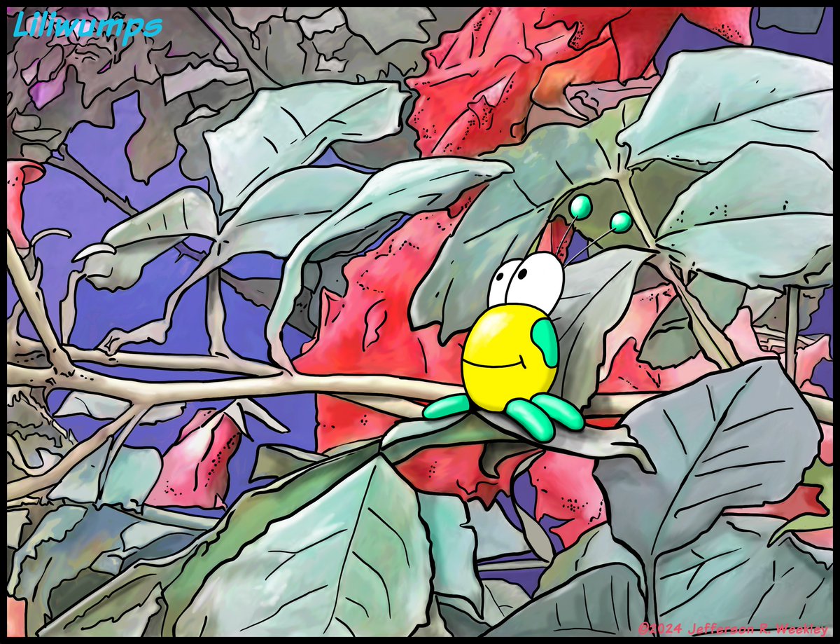 Jefferson R. Weekley (@nawalli777) on Twitter photo 