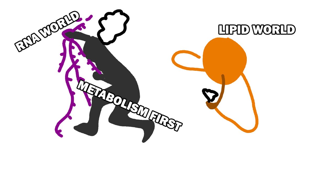 Phy the Neutrophil | Biology VTuber 🧬| VTheorem tweet media
