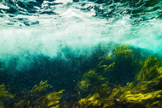 Economía Ambiental tweet media