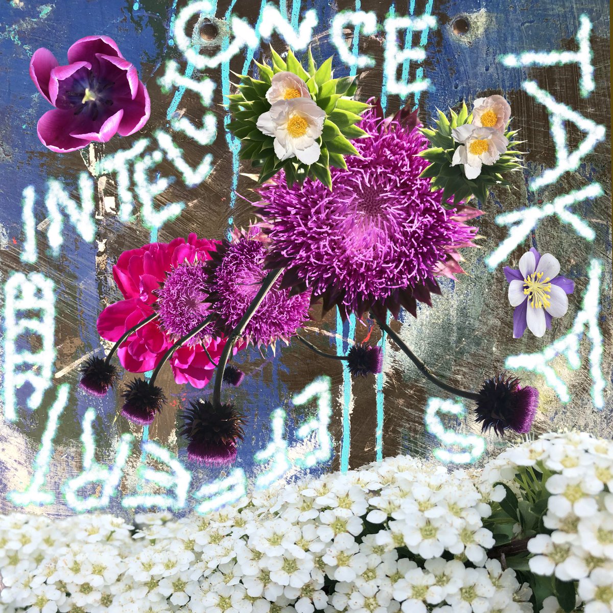 The Art of JDB tweet media