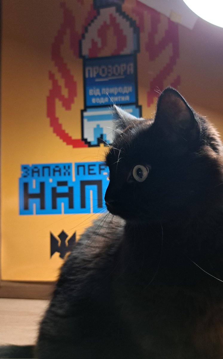 Ельфінві tweet media