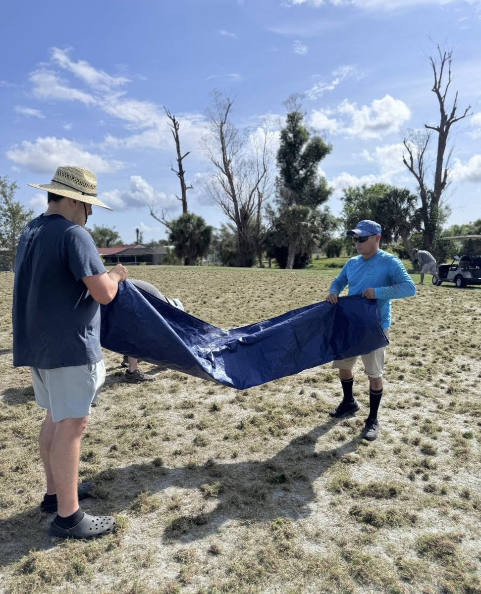 Modern Turf HQ tweet media