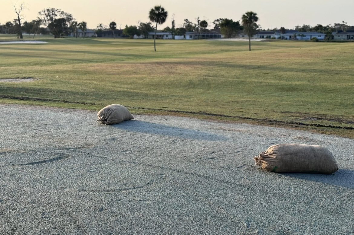 Modern Turf HQ tweet media