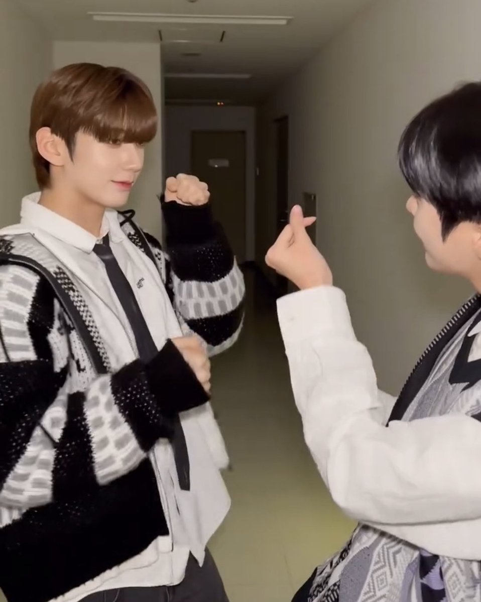 🐰🐺 tweet media