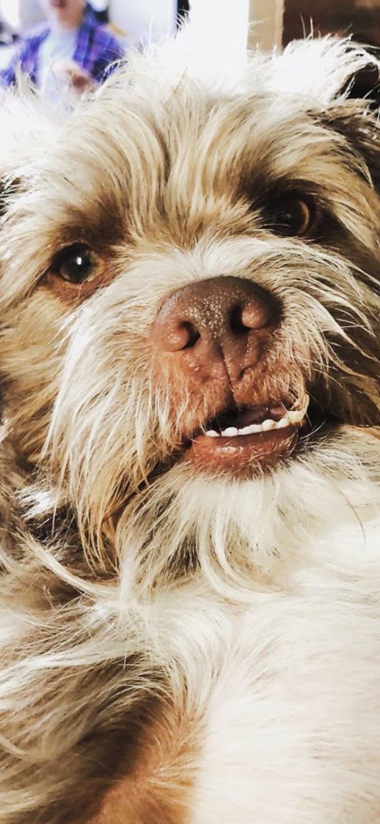 Mike Jurecki tweet media