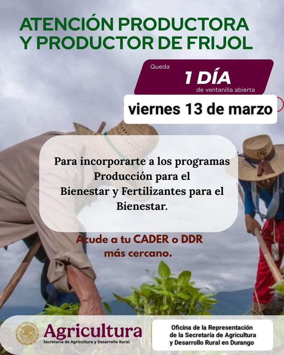 Productor (a) de Durango, solo queda 1 día (viernes 13 de marzo) para incorporarte a los Programas de Producción para el Bienestar y Fertilizantes para el Bienestar.

No habra prorroga, acuce a tu CADER / DDR más cercano

<a href="/Claudiashein/">Claudia Sheinbaum Pardo</a> <a href="/JulioBerdegue/">Julio Berdegué</a> <a href="/RaulSalgadoSV/">Raúl Salgado</a> <a href="/ismaelayala7/">Ismael Ayala Salazar</a>