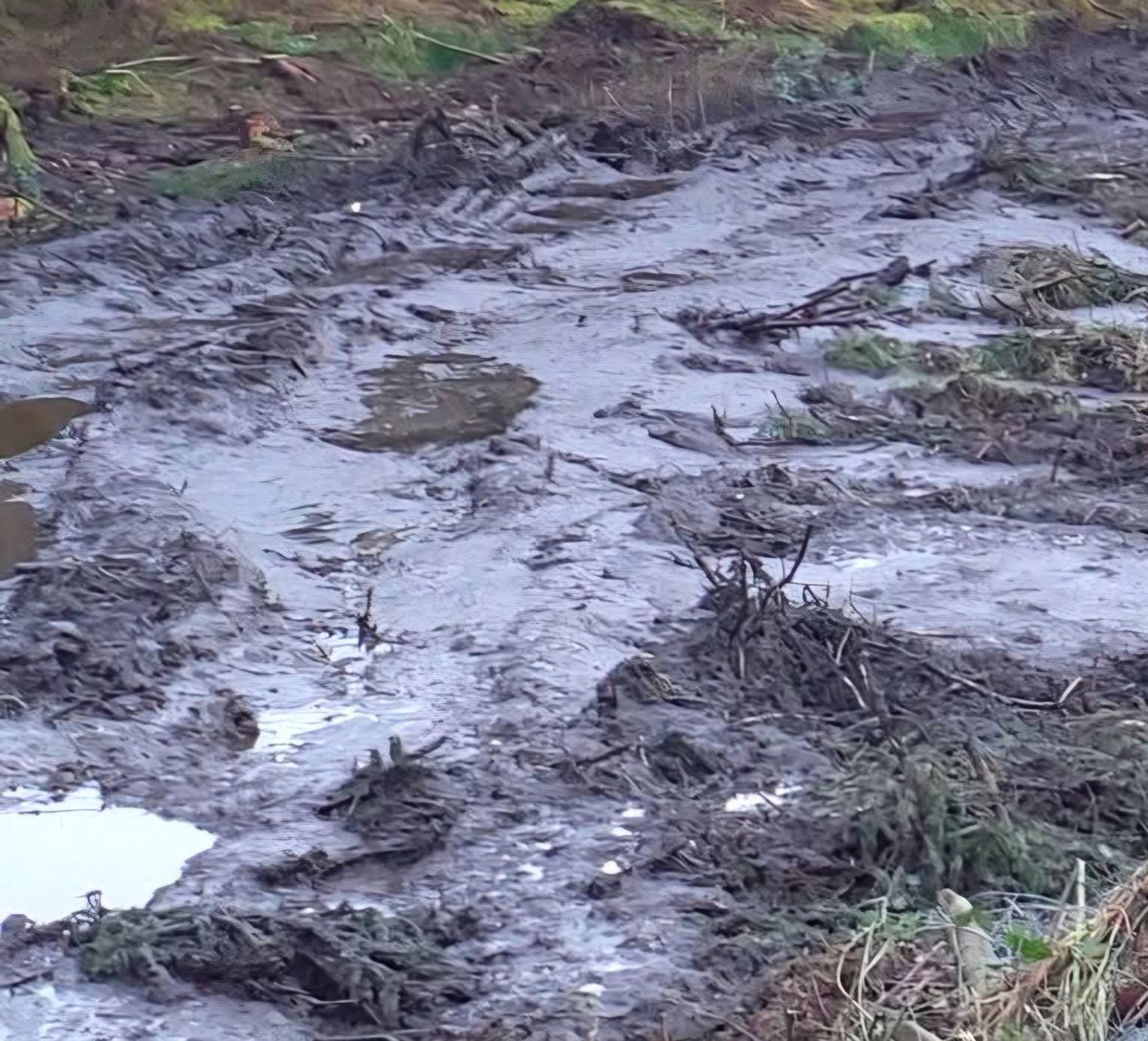 Save Leitrim tweet media