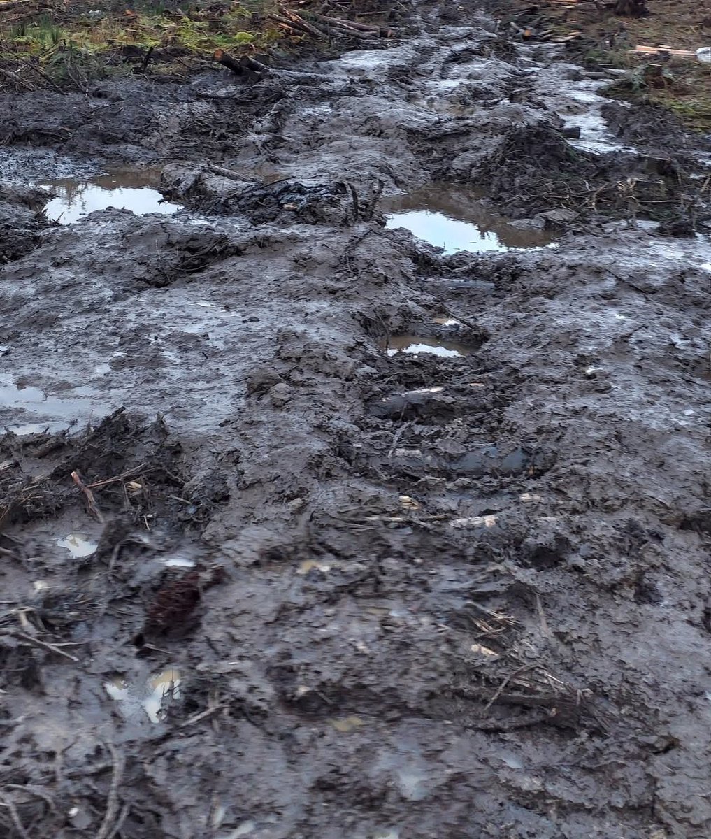 Save Leitrim tweet media