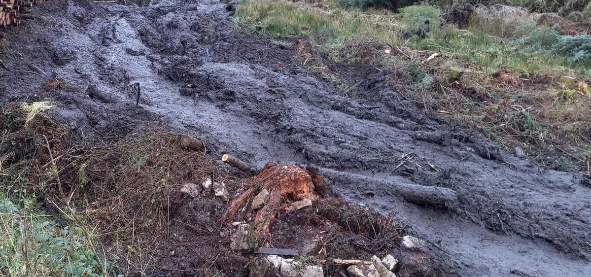 Save Leitrim tweet media