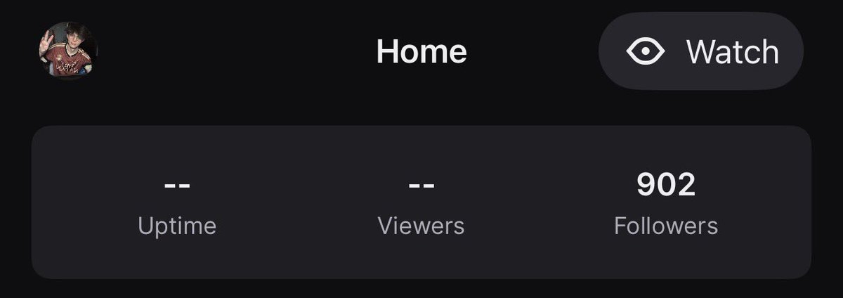 We officially crossed 900 follows on Twitch! Thank you all so much 👁️❤️👁️ 

Also shoutout to <a href="/banjotears/">jake 📼</a> for the raid and helping us cross it 🫶