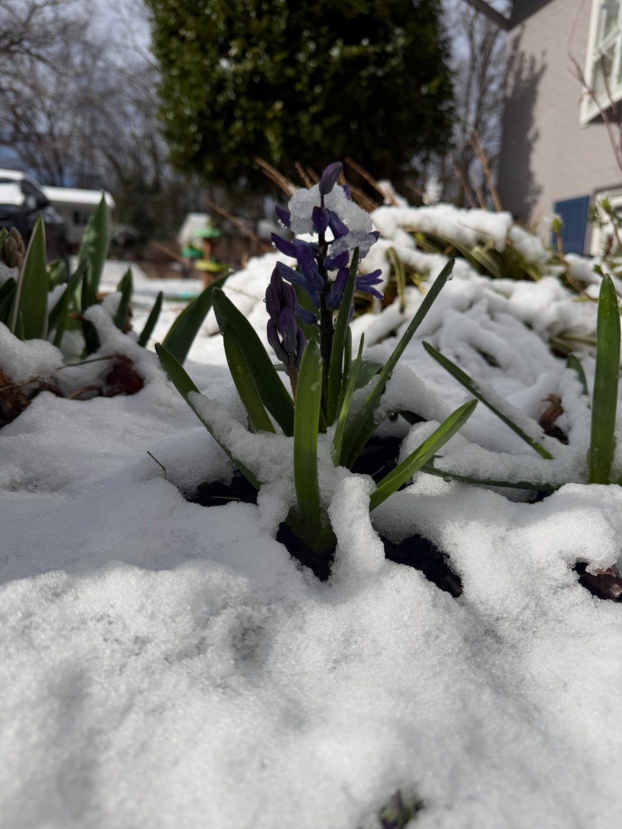 Mandi DeGroff Munger tweet media