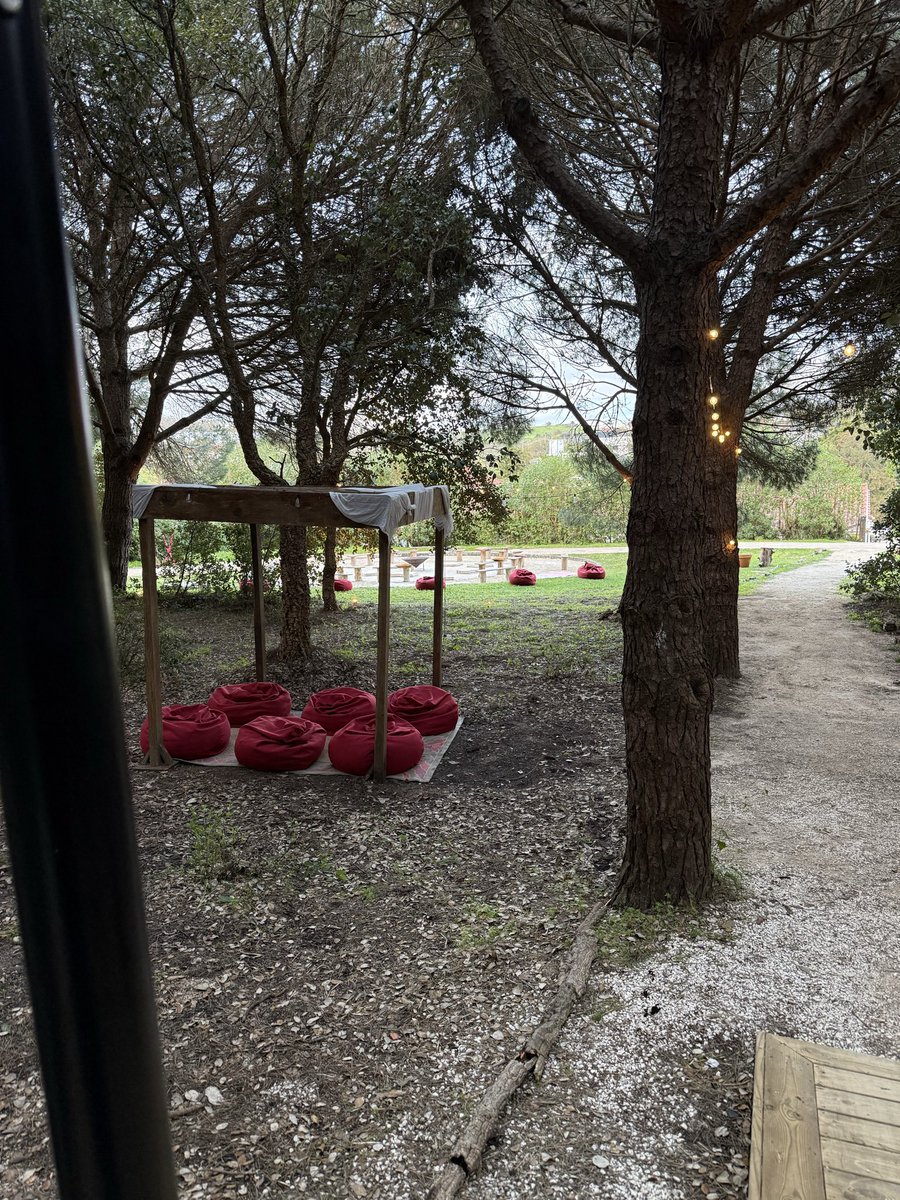 André Oliveira tweet media