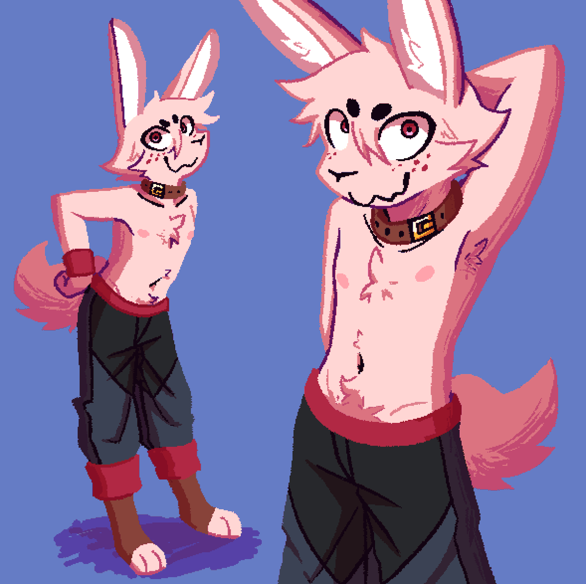 Cate (Album out now!!) tweet media