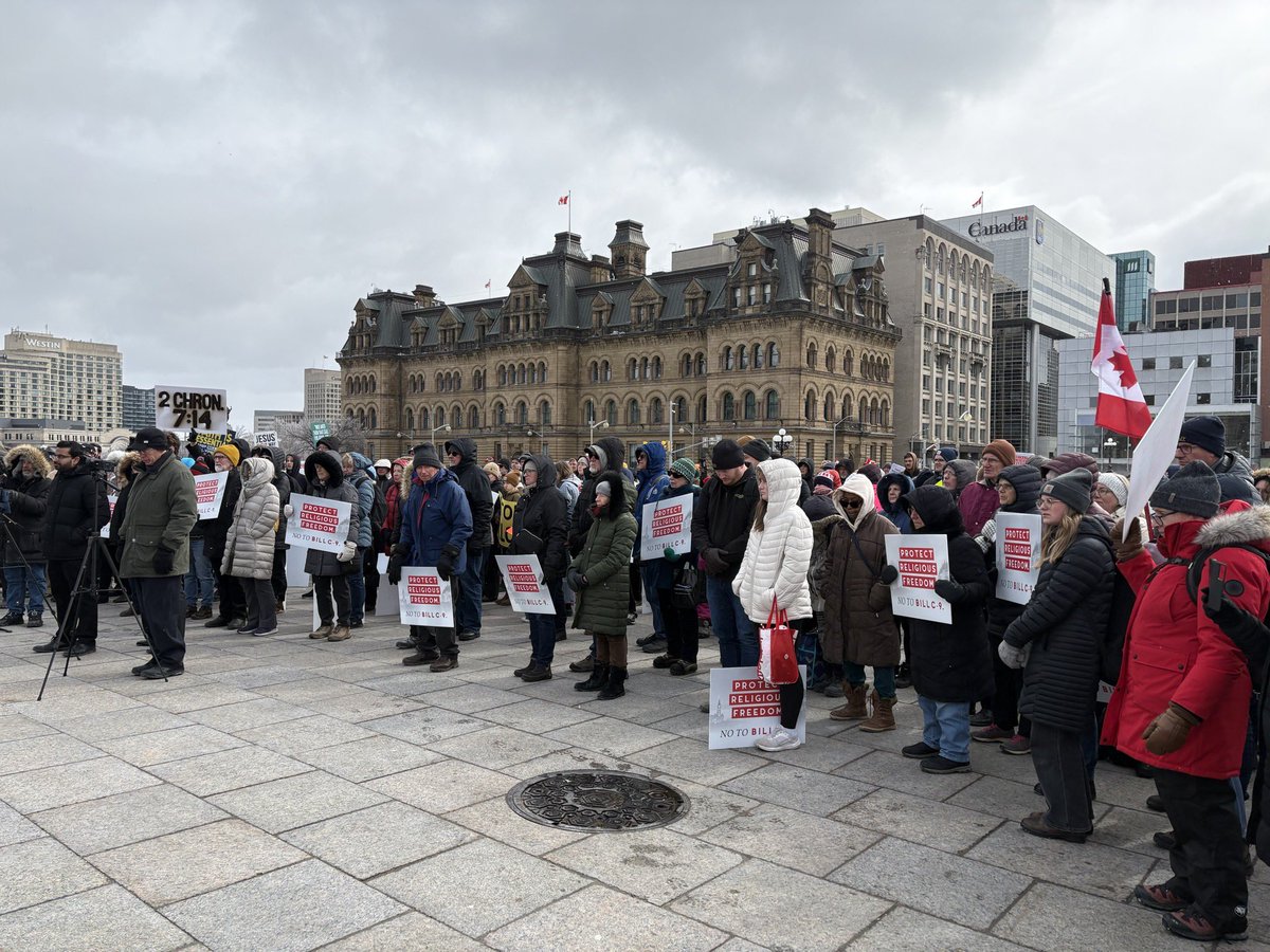 Andrew Lawton tweet media