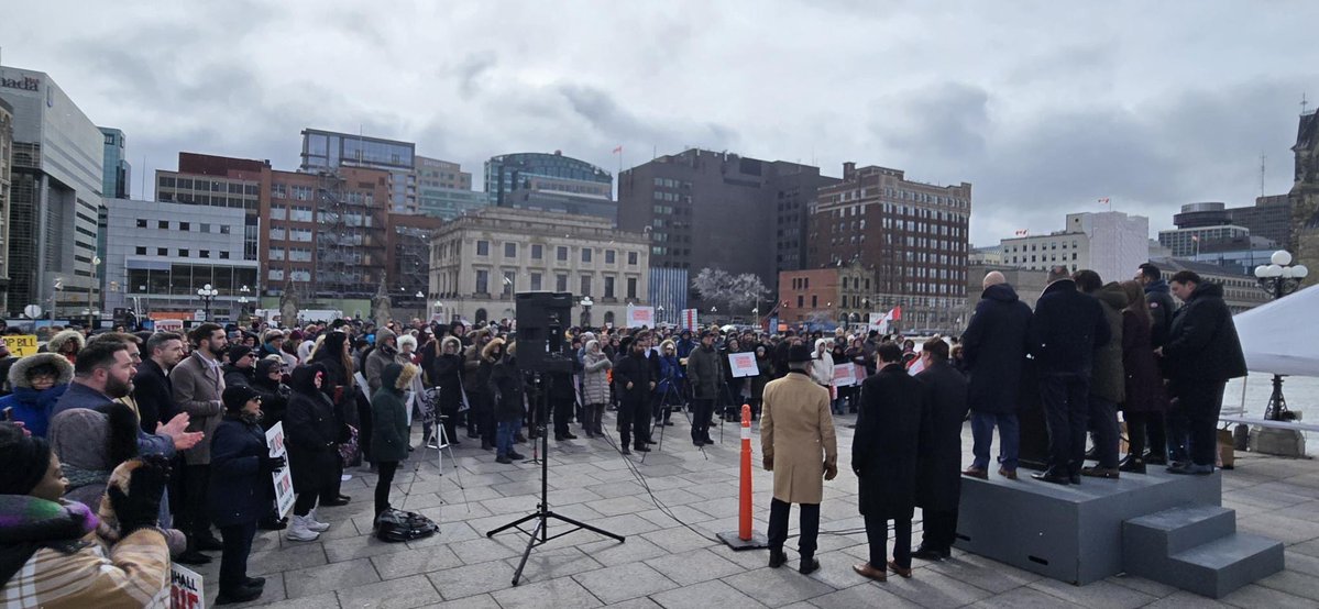 Andrew Lawton tweet media