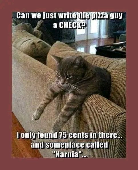 Lisa Champney tweet media