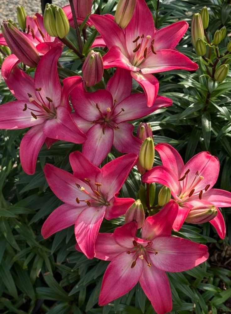 The Tourism Guide tweet media