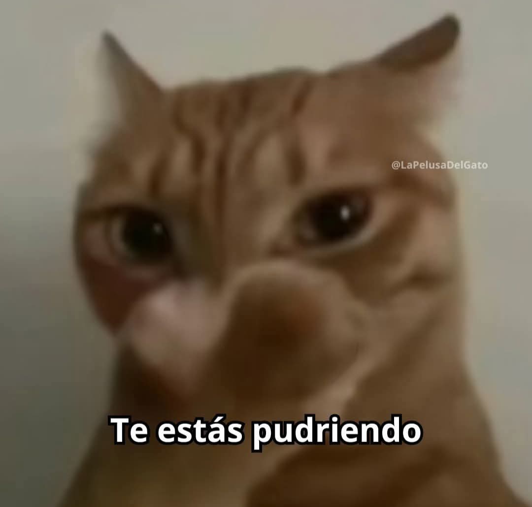 Sky_Cross00's tweet photo. @PedroPerezcasco @Chatgpt_45 @angelica960622 Como sabes si estoy gorda? Si estamos asumiendo no dudo que seas un pajero resentido que nunca a tocado a una mujer en su vida https://t.co/b1FE4tXUHP