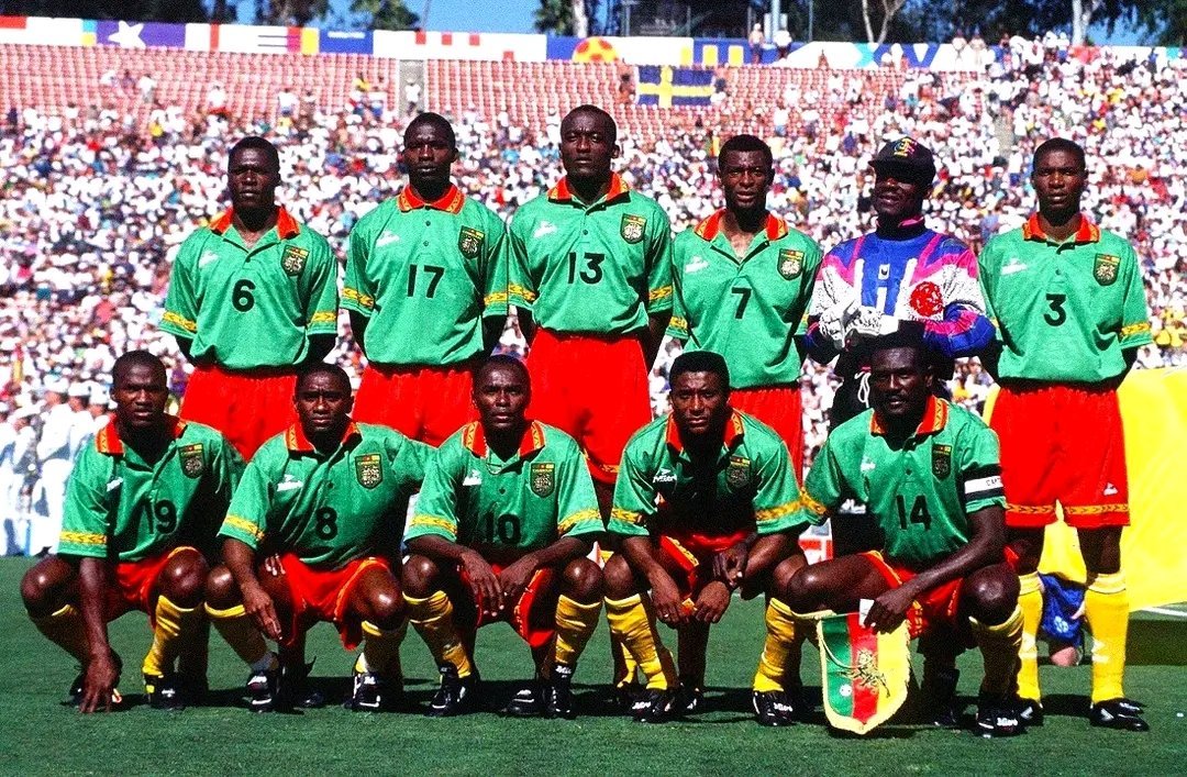 AllezLesLions tweet media