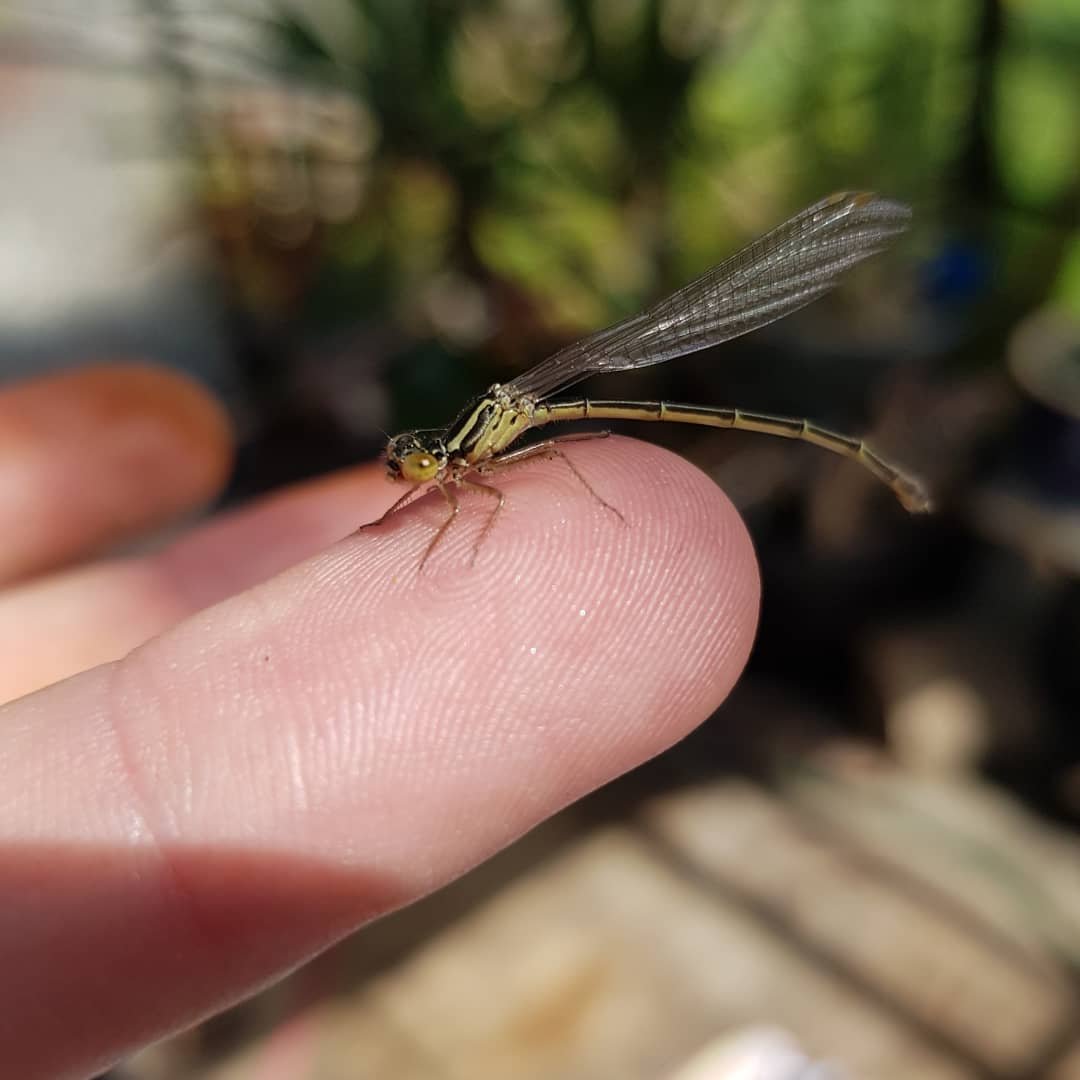 "Gkid" Grime Grown kid with a grown kid of his own tweet media