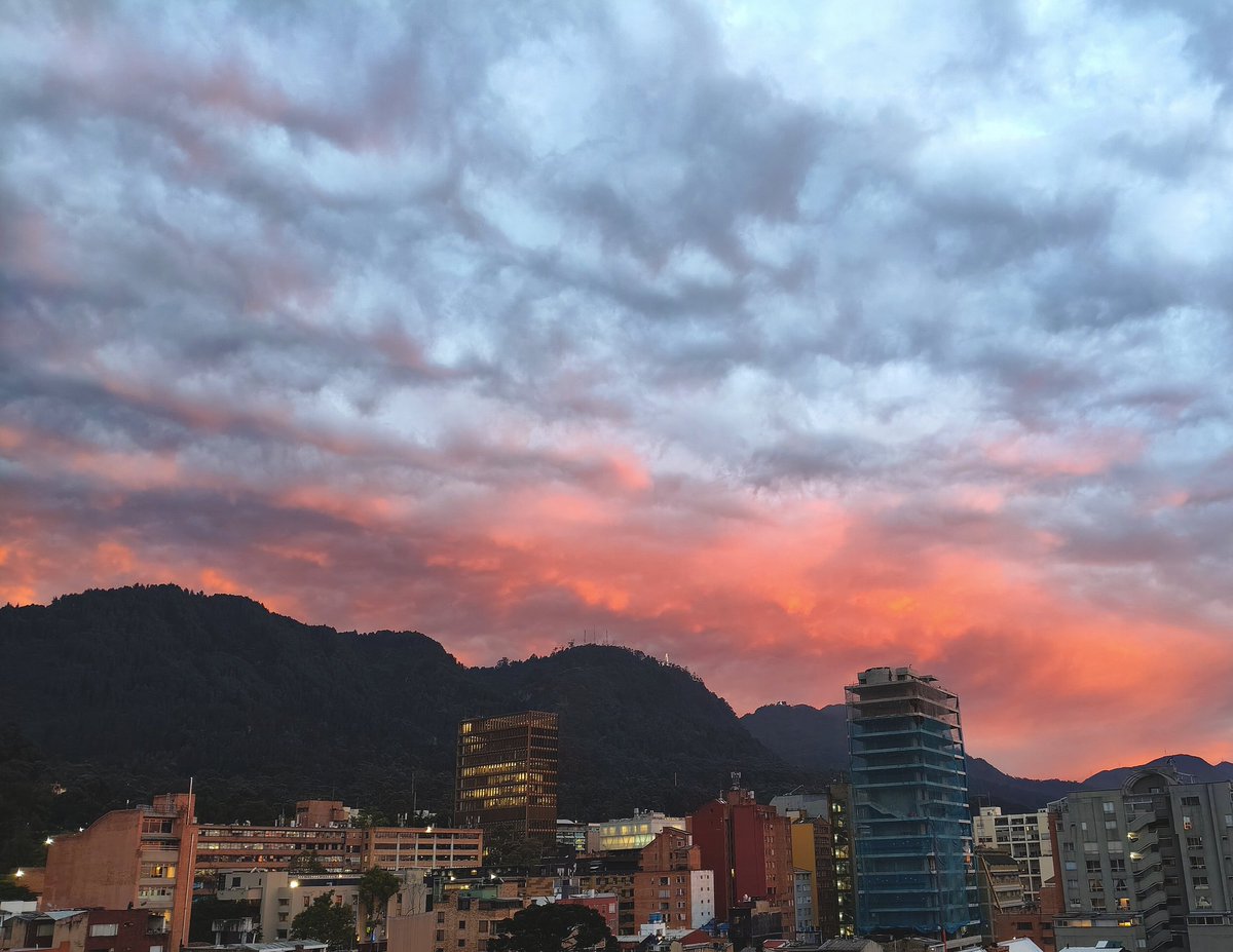 Aspasia Segunda tweet media