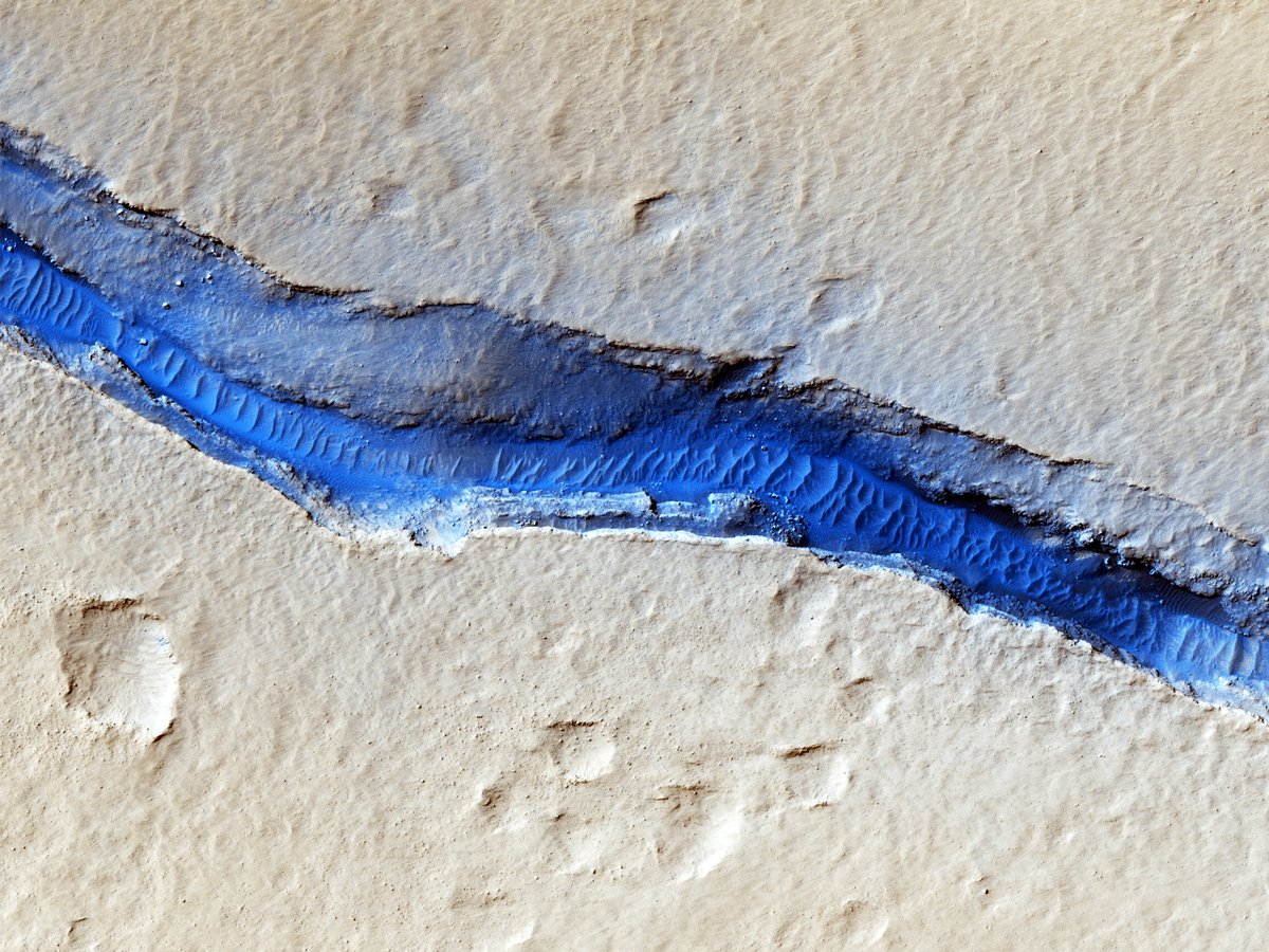 University of Arizona tweet media