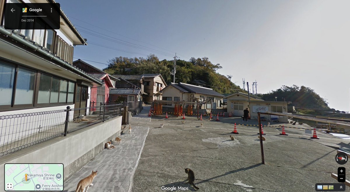 LORD NEWS BRASIL 🇧🇷 tweet media