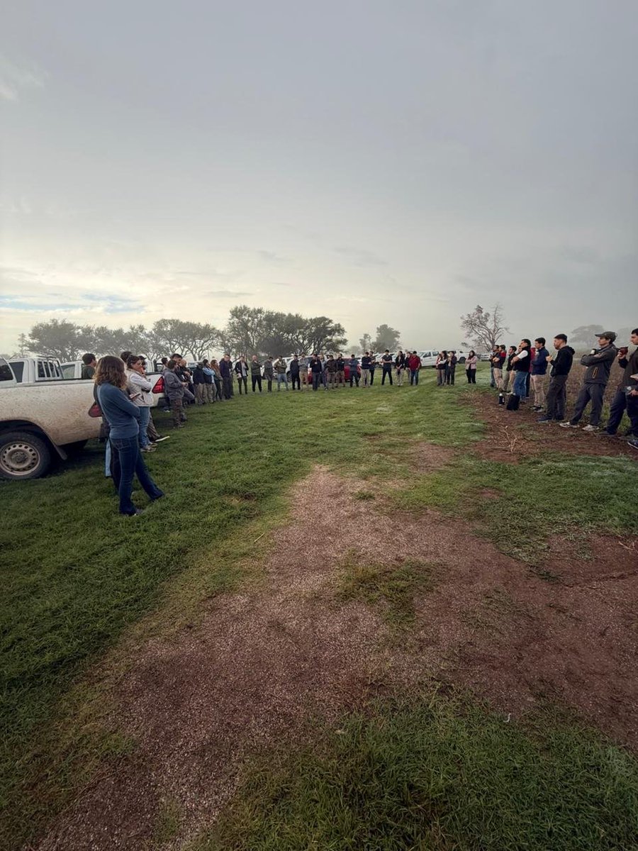 Jorge Mercau 🇦🇷 tweet media