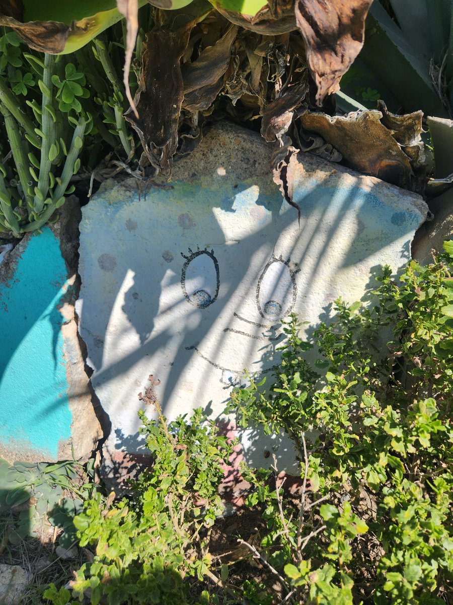 OrangeZeppelin tweet media