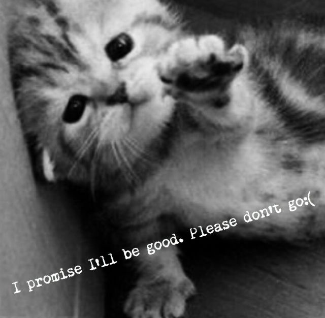 Marcelio. tweet media