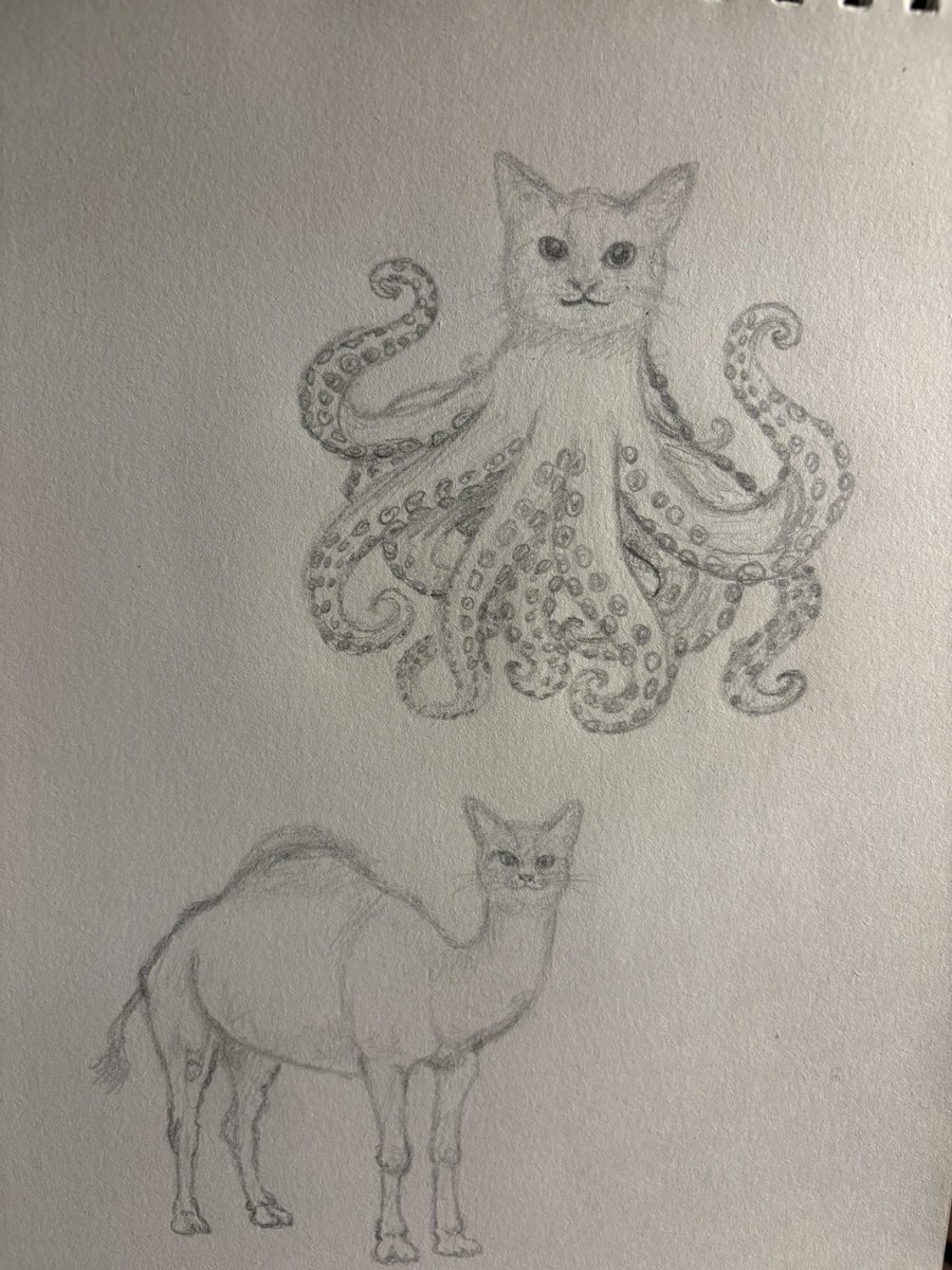 atardecer tweet media