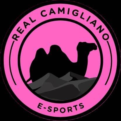 Real Camigliano eSports tweet media