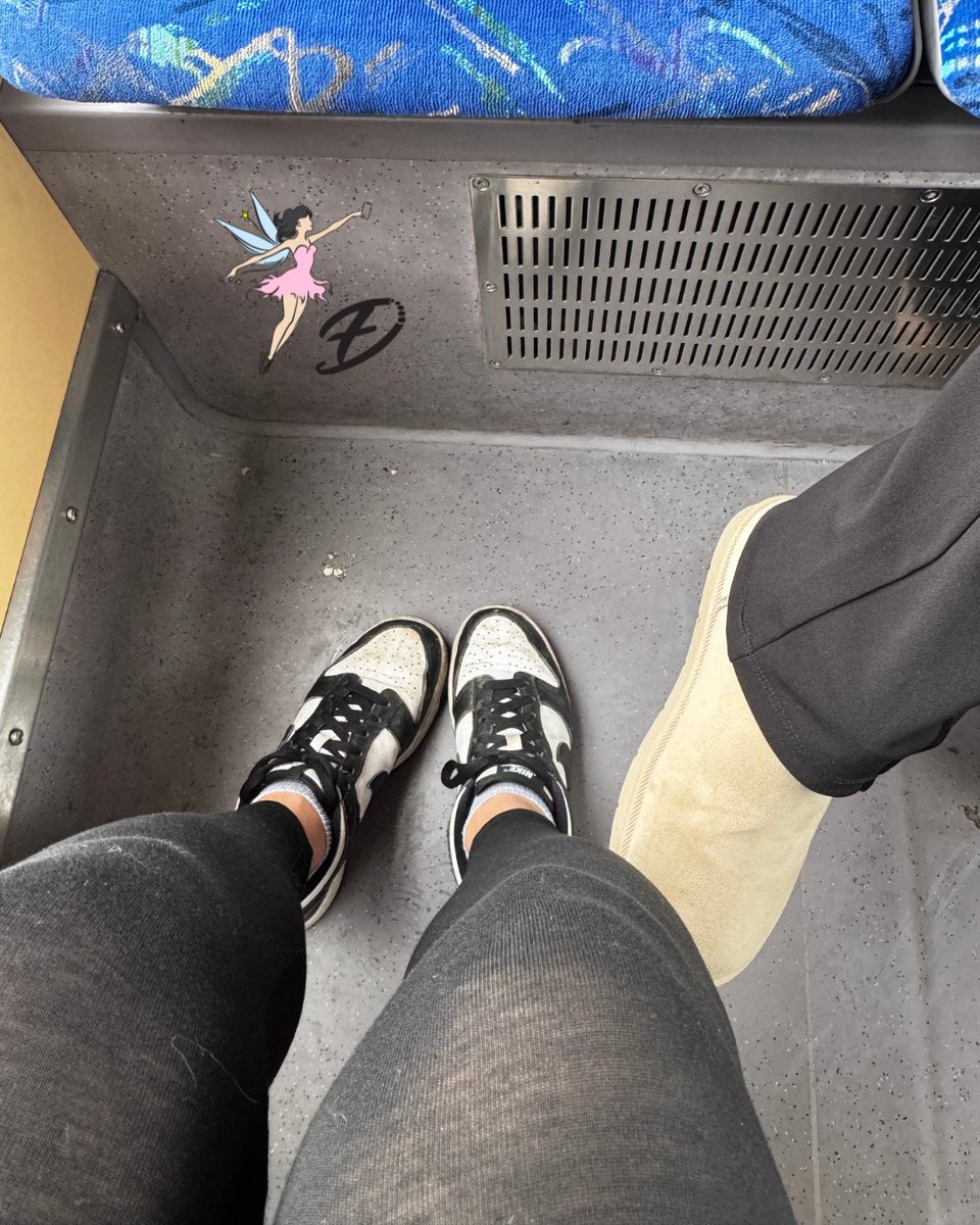 fairy-diary tweet media