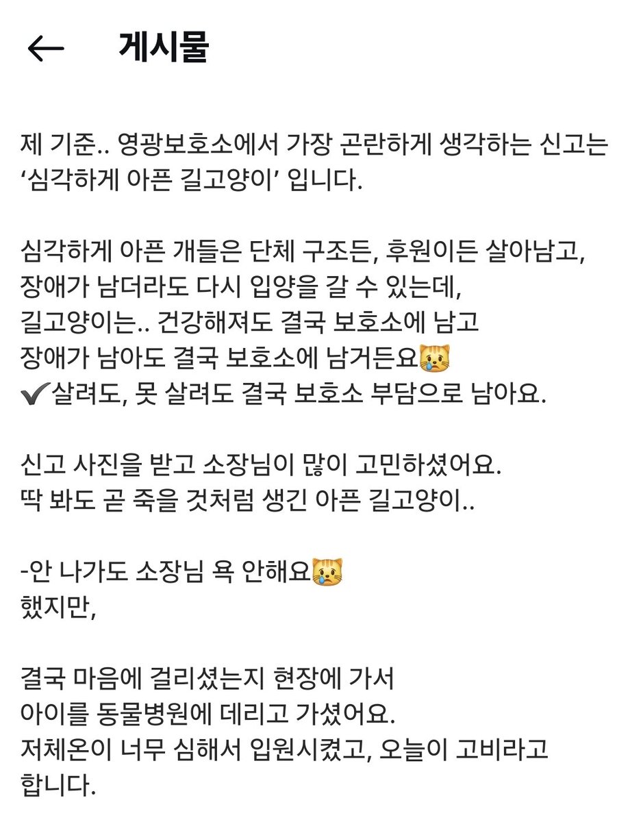 영광군유기동물보호소 tweet media
