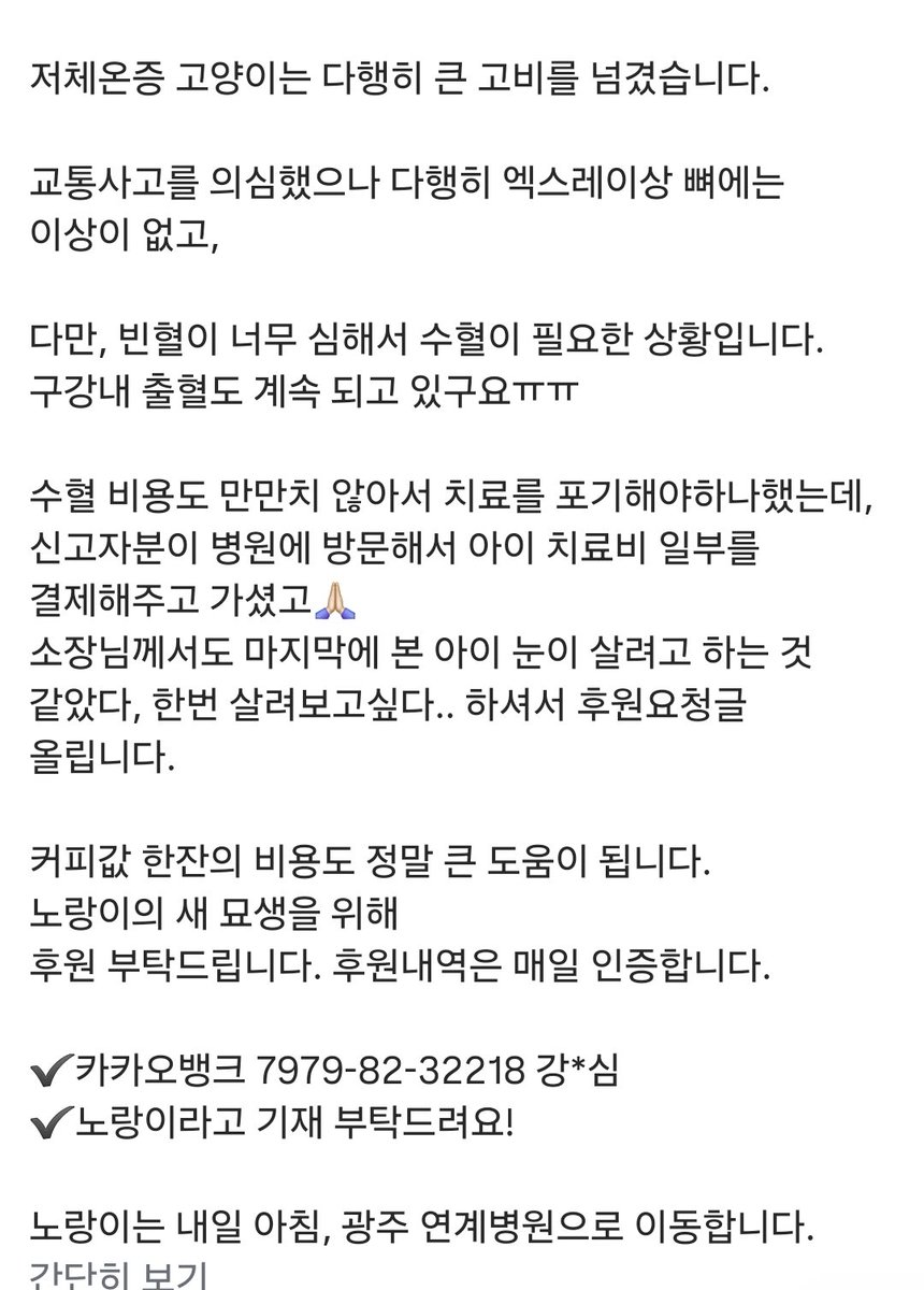 영광군유기동물보호소 tweet media