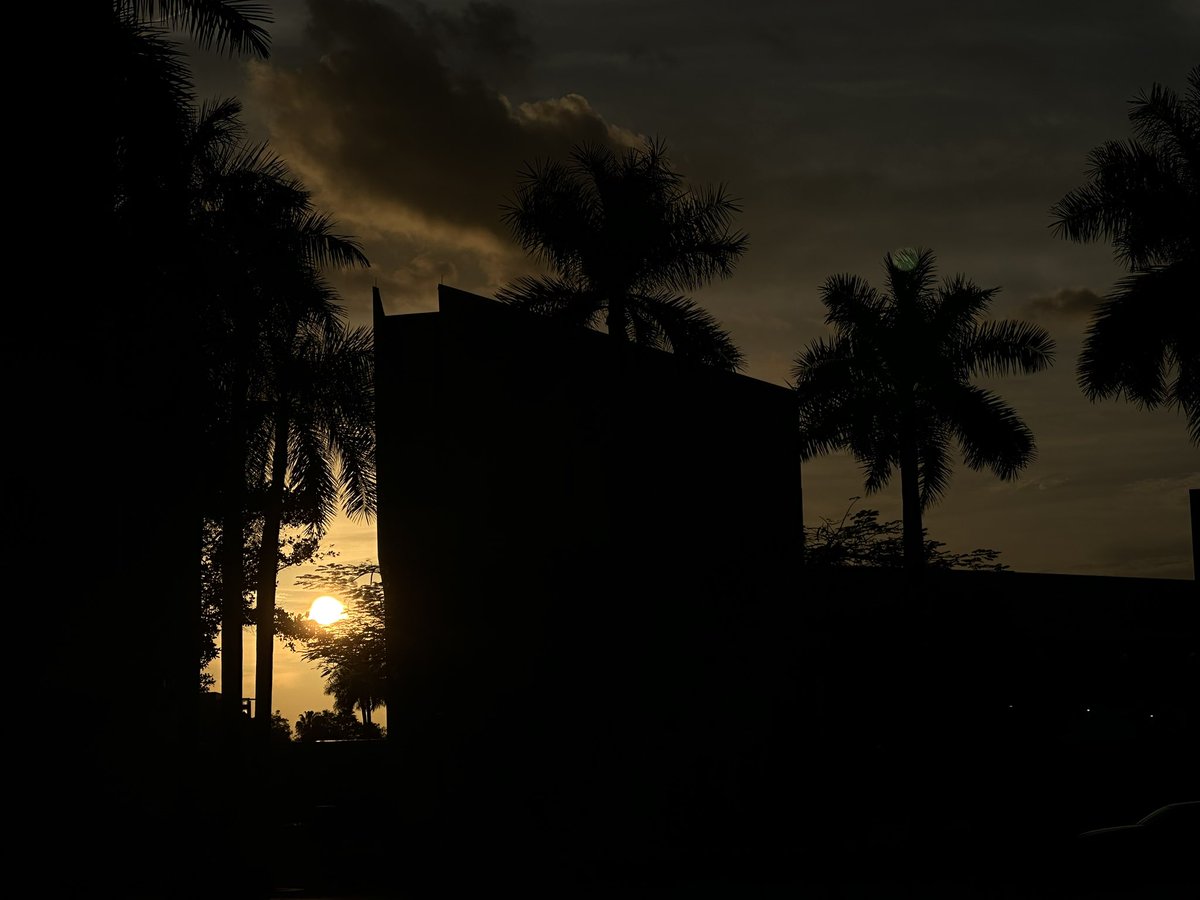 MasachiDC's tweet photo. Born too late to explore earth,
Born too early to explore the stars

Or just born in time for both!

#sunset #masachidc https://t.co/CJhaSHS8Sf