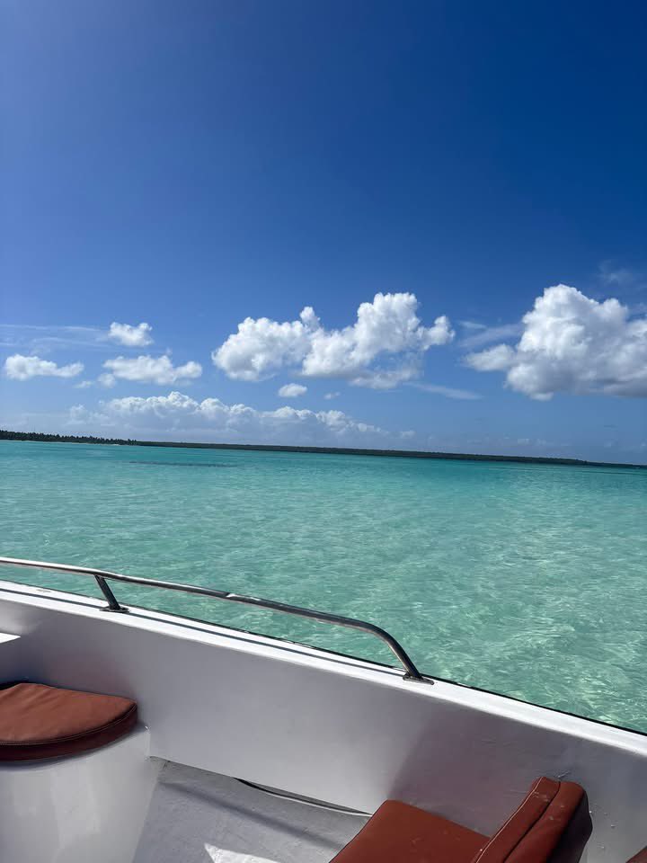 GT Trades tweet media