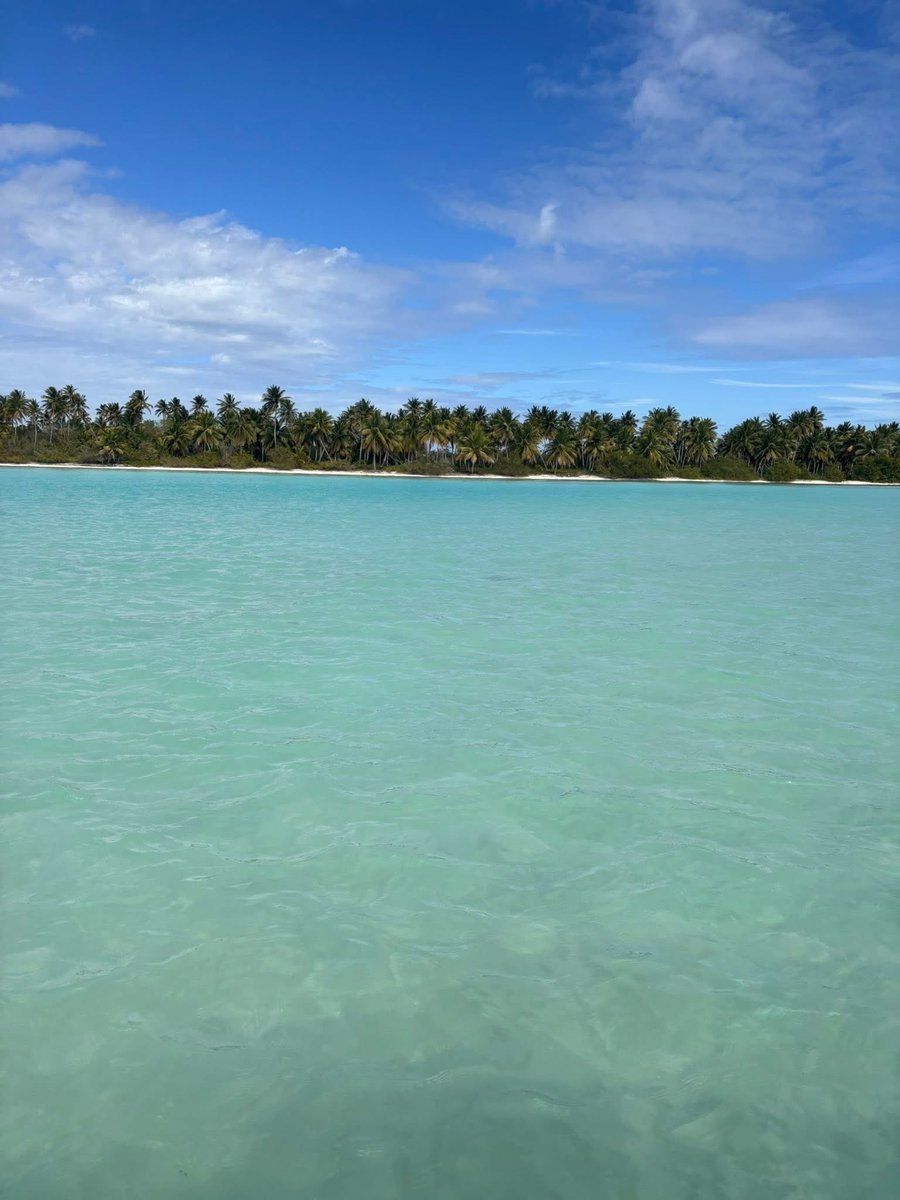 GT Trades tweet media