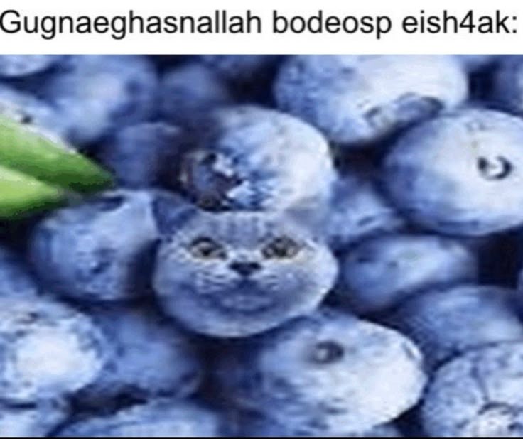 napling🌱 tweet media