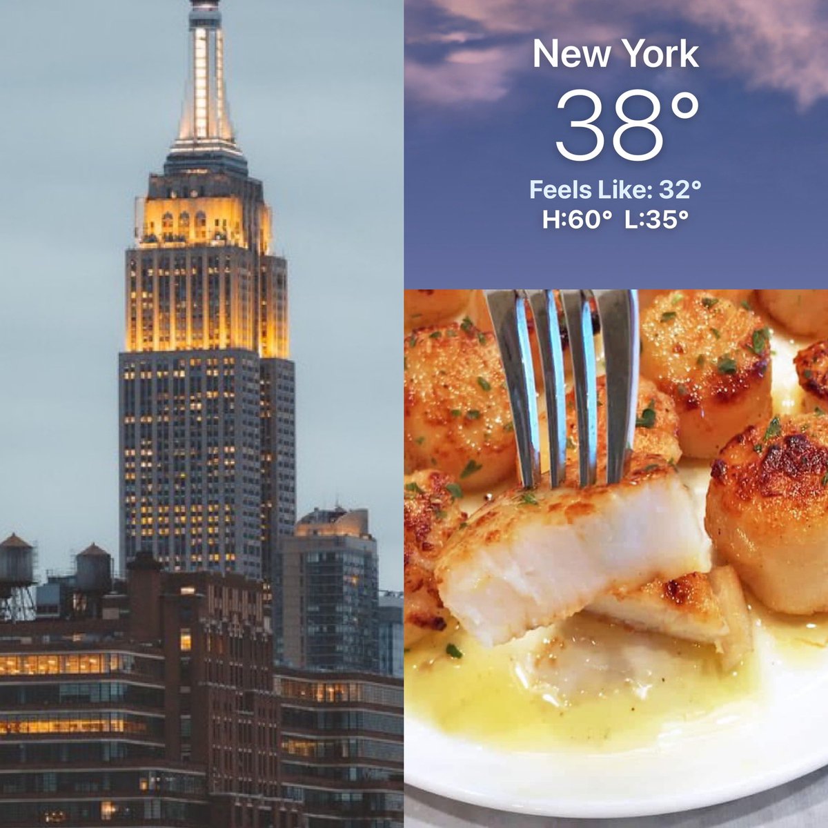 Corinne Pulitzer tweet media