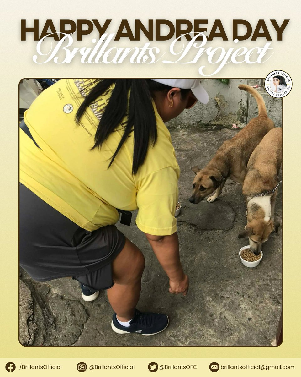 BRILLANTS OFFICIAL tweet media