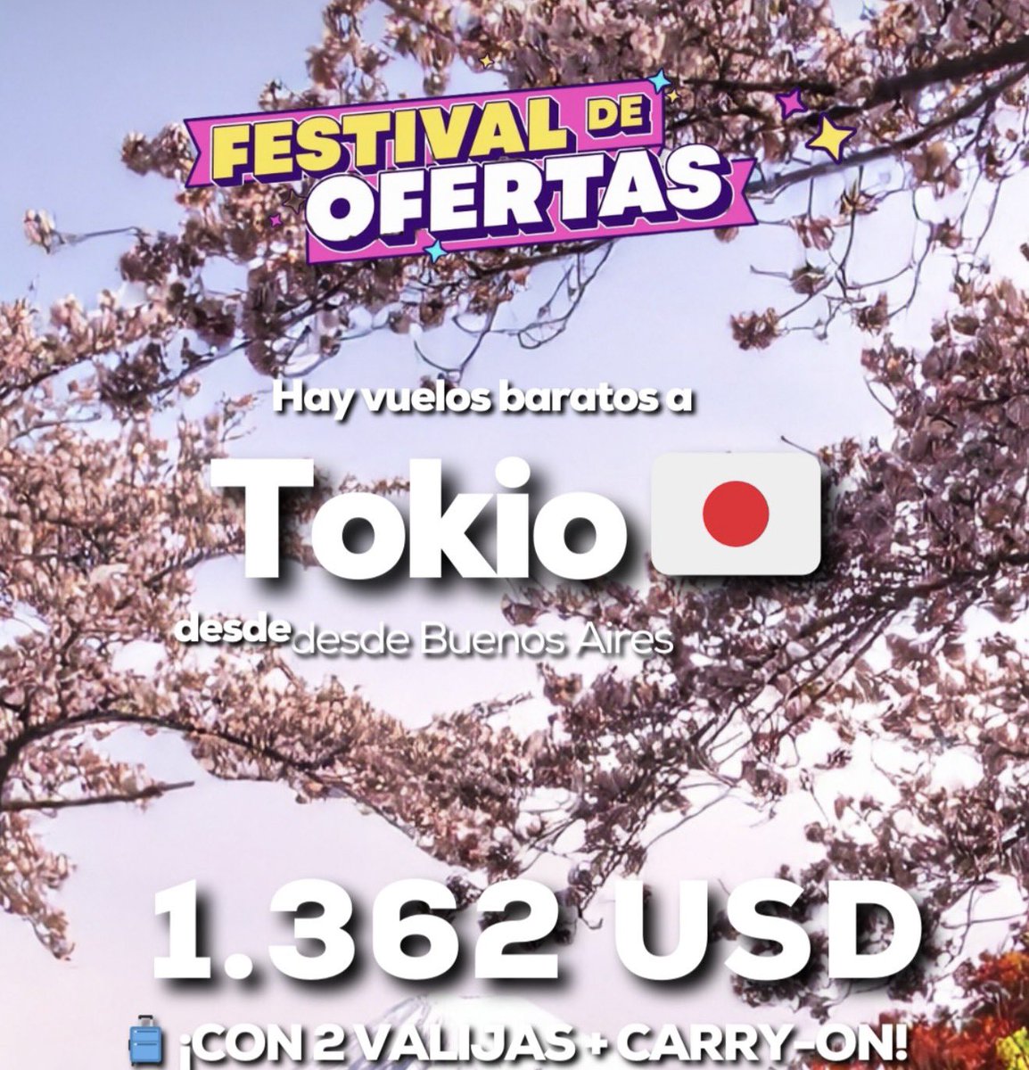 Miss Ofertas by Vero 🛒🛍️ tweet media