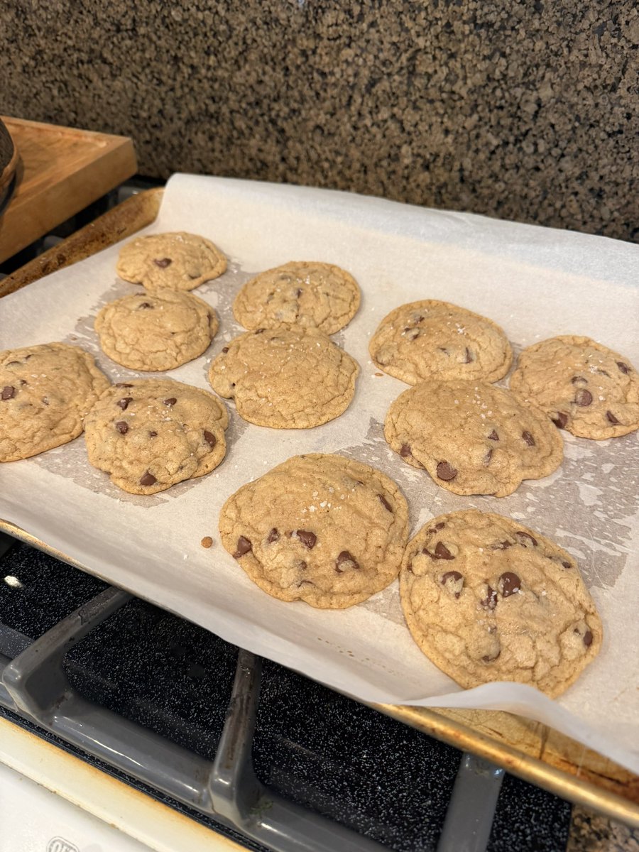 Walnut 🦜 tweet media