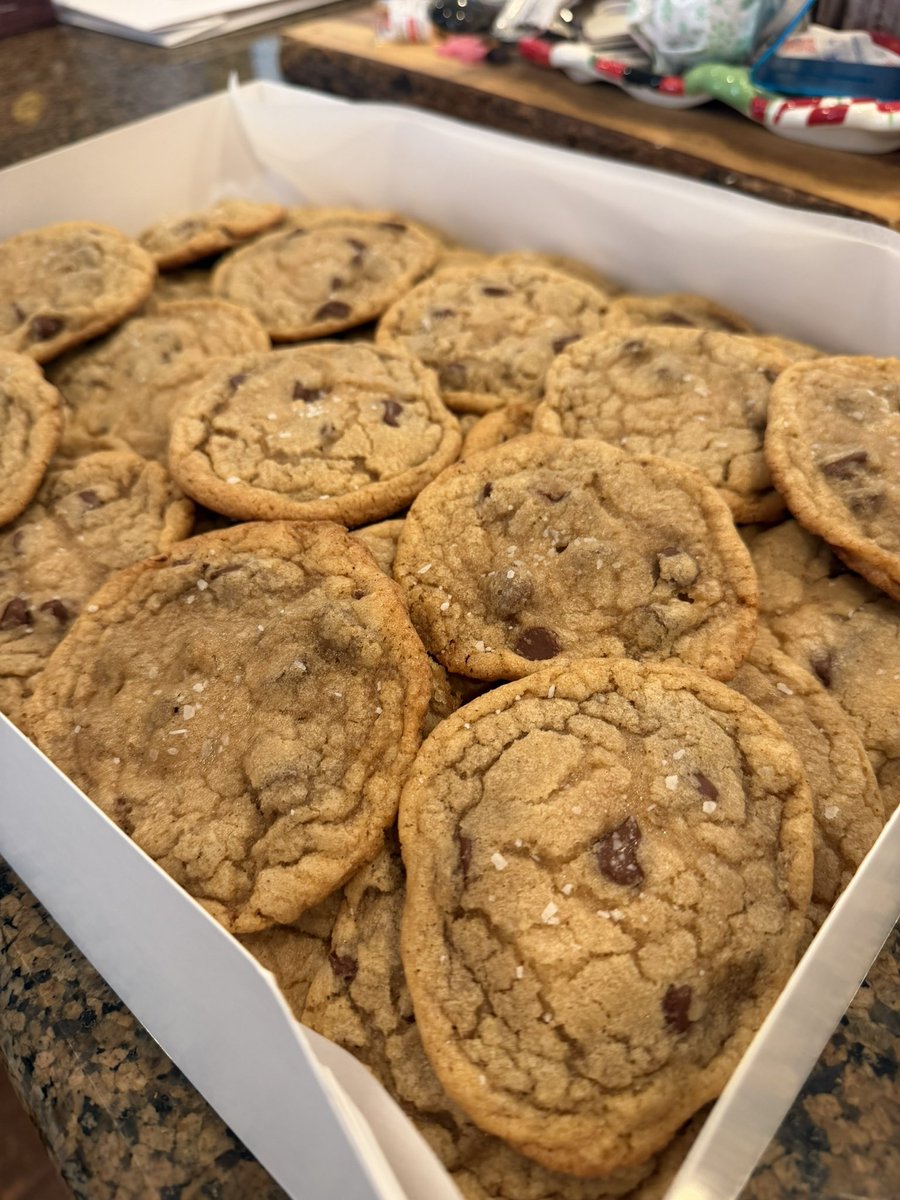 Walnut 🦜 tweet media