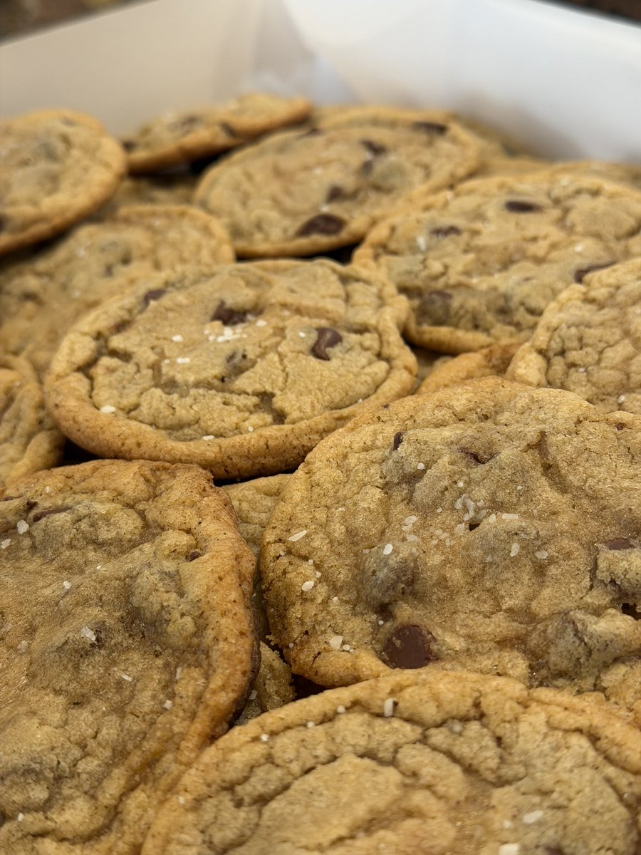 Walnut 🦜 tweet media