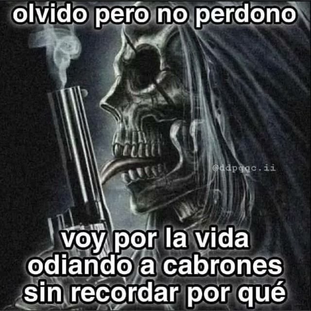 beki ⋆˚꩜。݁ ˖Ი𐑼⋆ tweet media