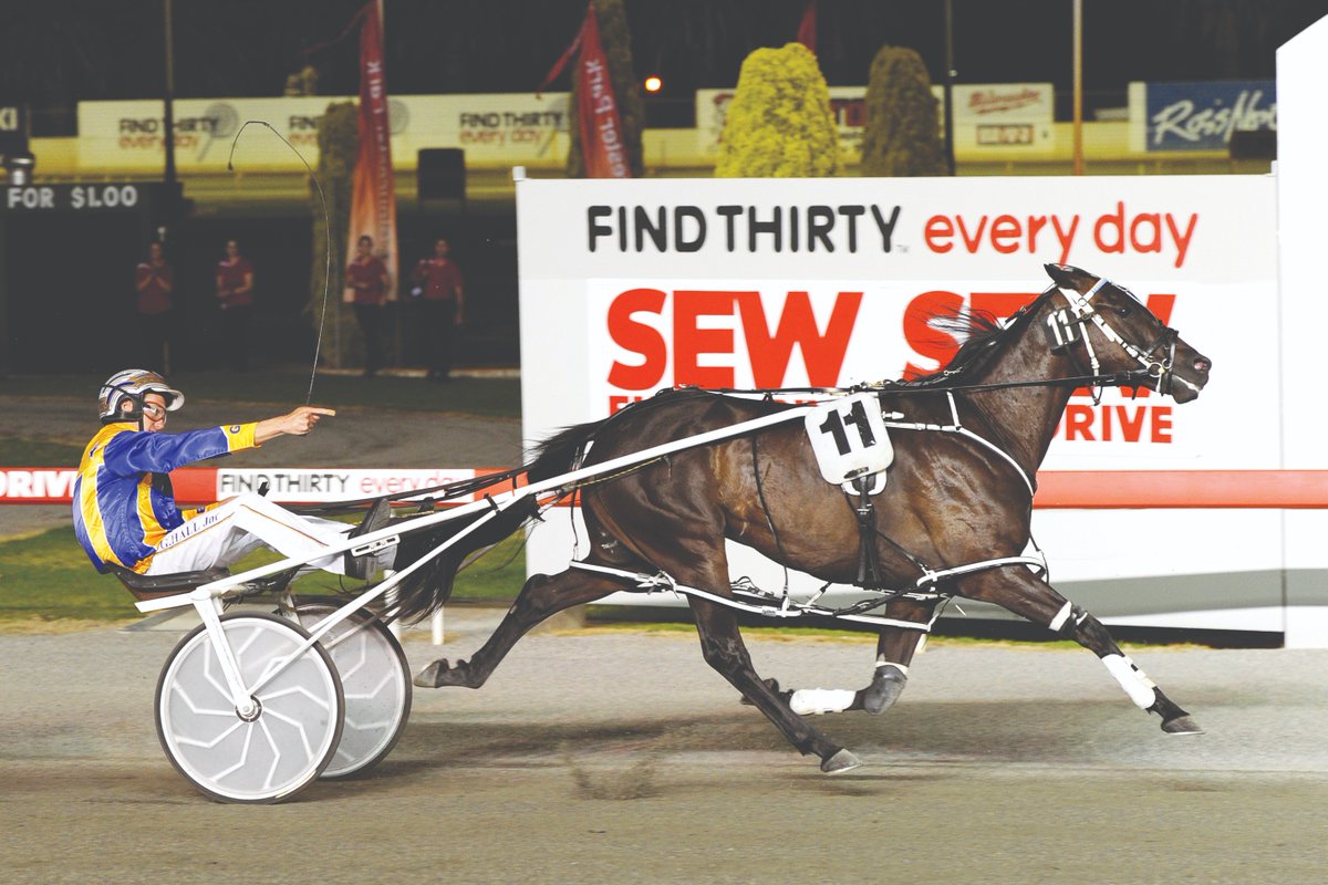Wa Harness Racing Tonight's $30,000 Ascot Group WA- Im Themightyquinn MS Pace recognises ...