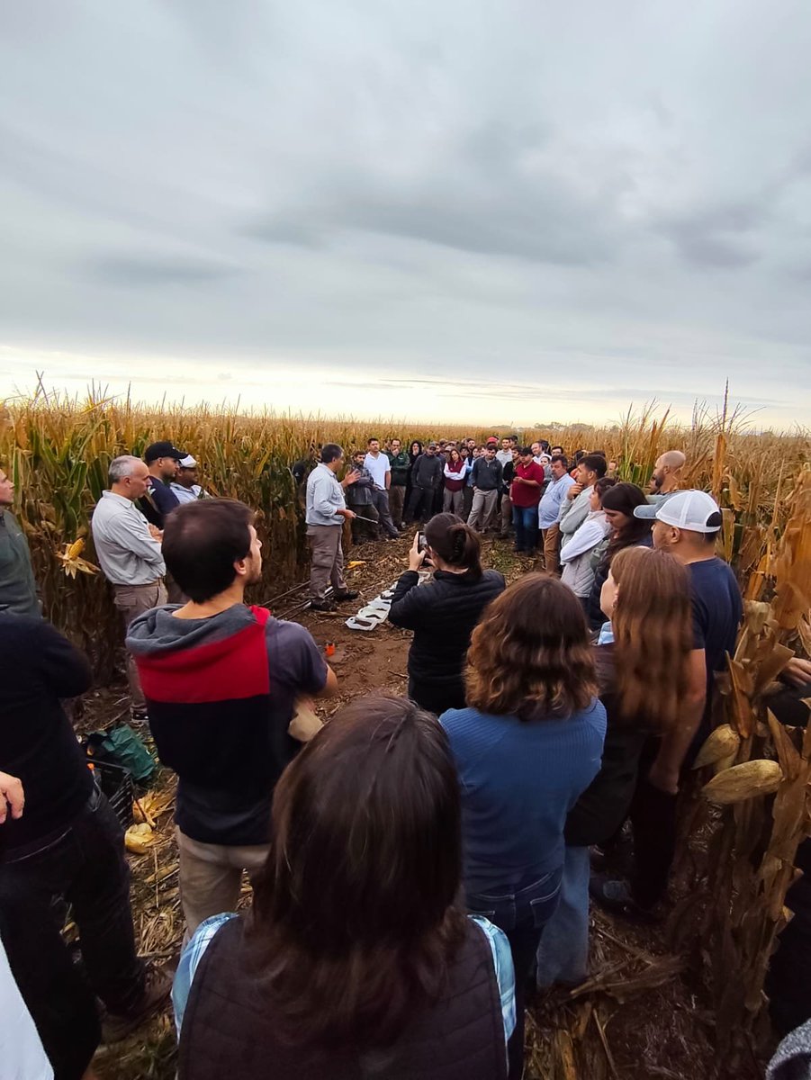 Jorge Mercau 🇦🇷 tweet media