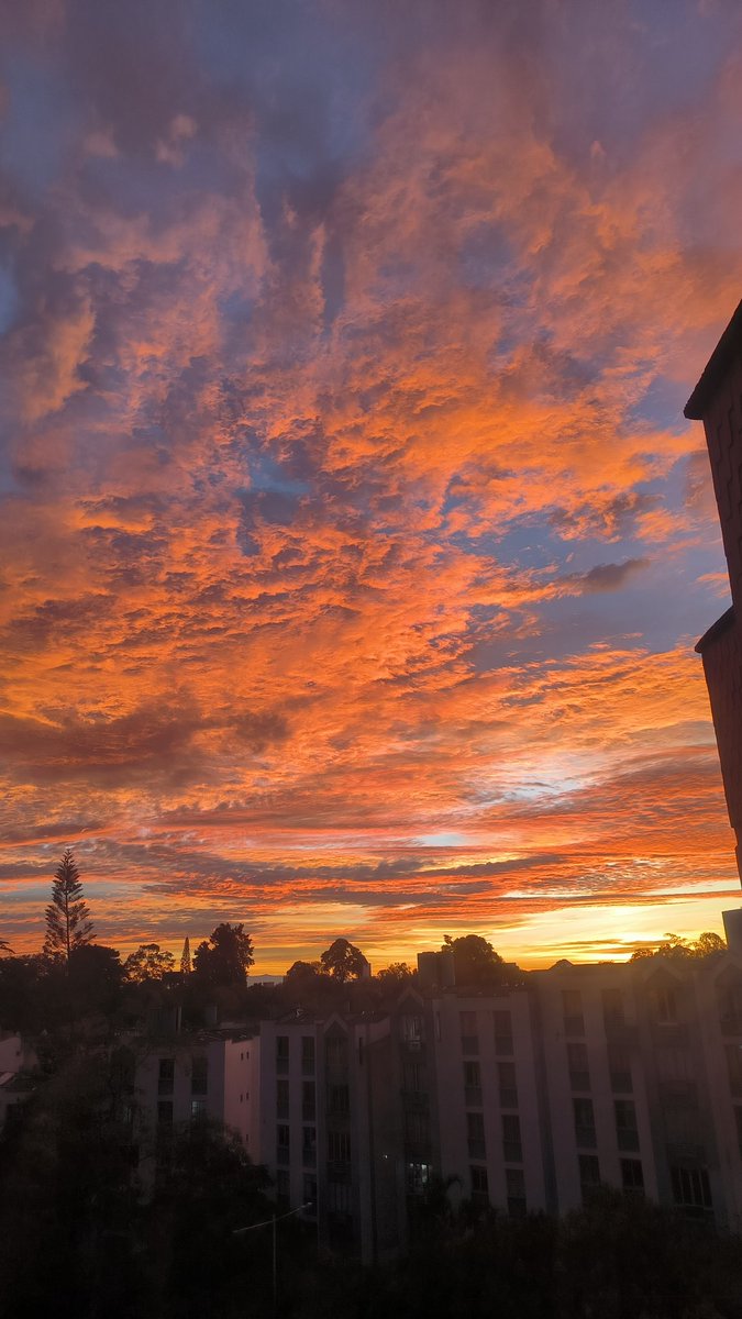 He estado súper baja de nota, me asomé a la ventana y la hermosura de cielo 😭 todo estará bien ✨ Que increíble y maravilloso tener ojos para ver este regalo tan divino.